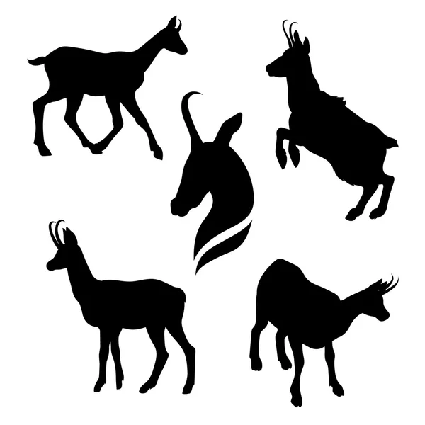 Chamois set vector — Stock Vector