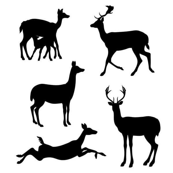 Doe set vector — Stock Vector