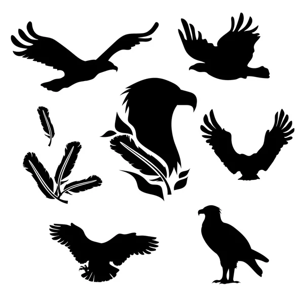 Eagle set vector — Stock Vector