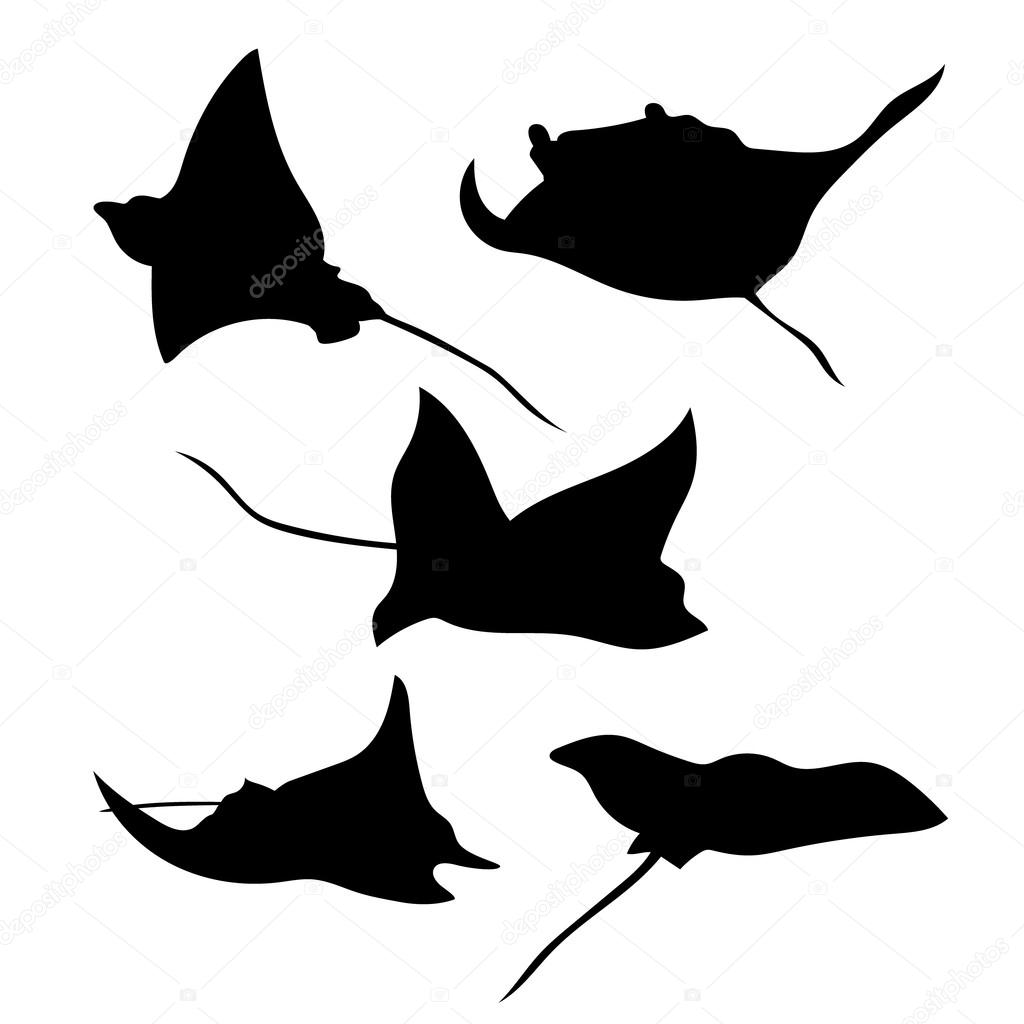 Stingray set of silhouettes vector. Collection of animal icons