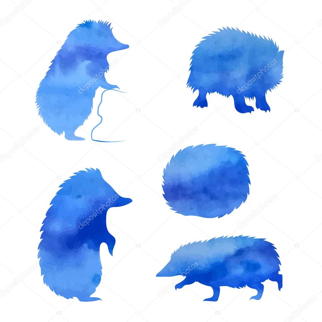 Set of blue vector watercolor hedgehogs. Collection of animal icons