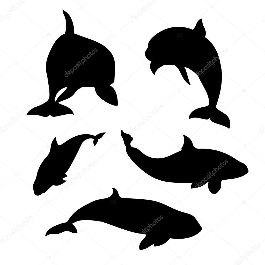 Killer whale set vector