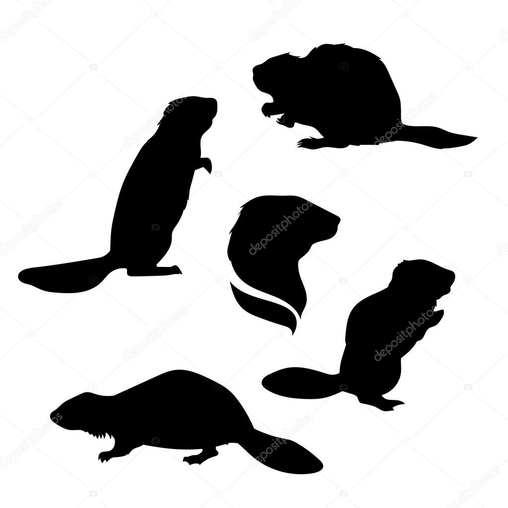 Beaver set of silhouettes vector. Collection of animal icons