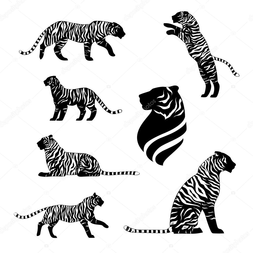 Tiger with stripes, set of black silhouettes. Icons and illustrations of animals. Wild animals pattern