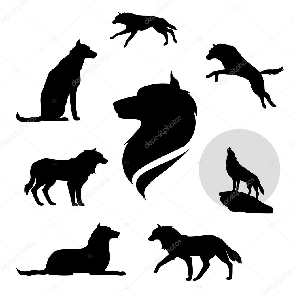 Wolf set of black silhouettes. Icons and illustrations of animals. Wild animals pattern