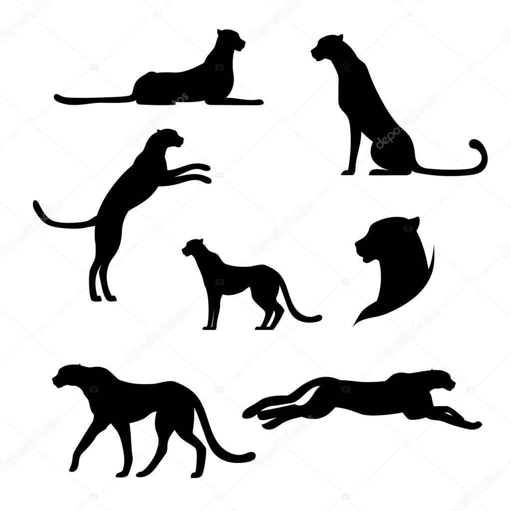 Cheetah set vector