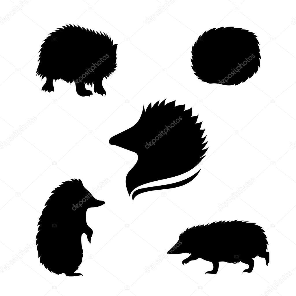 Hedgehog set of black silhouettes. Icons and illustrations of animals. Wild animals pattern
