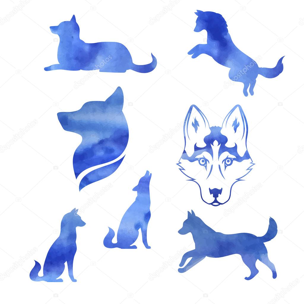 Watercolor dog husky icons and silhouettes. Set of illustrations in different poses