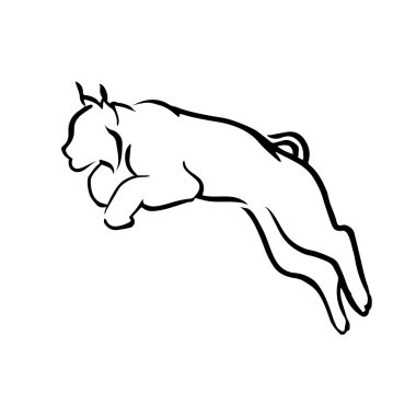 Logo lynx vektör.  