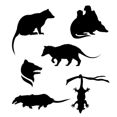 Bir keseli sıçan Vector silhouettes.