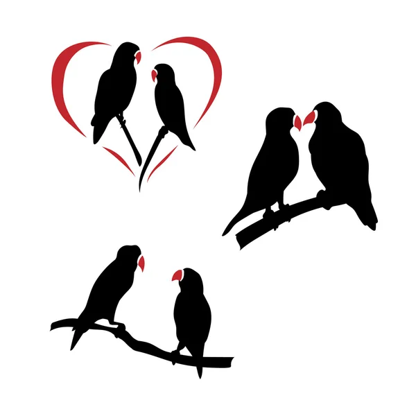 Vector silhouettes of a lovebird. — Stock Vector