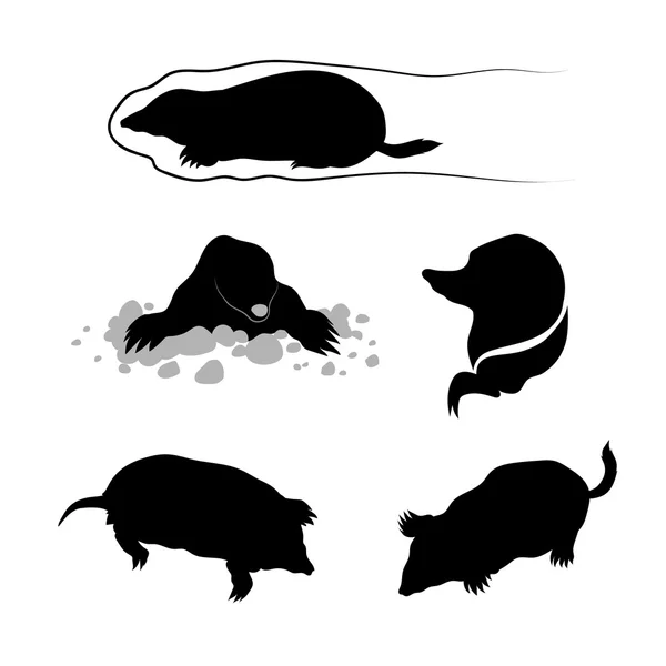 Vector silhouettes of a mole. — Stock Vector