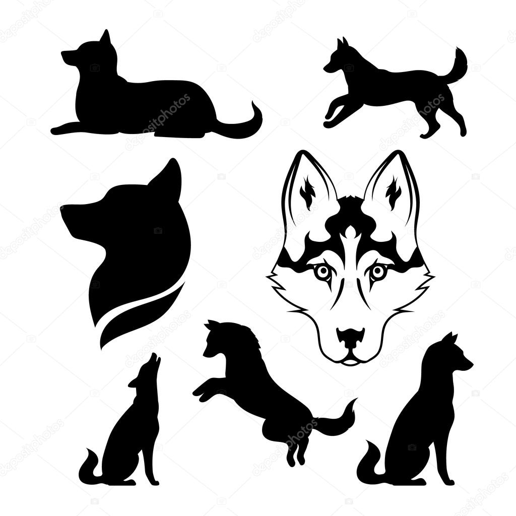 Husky icons and silhouettes. Set of illustrations in different poses