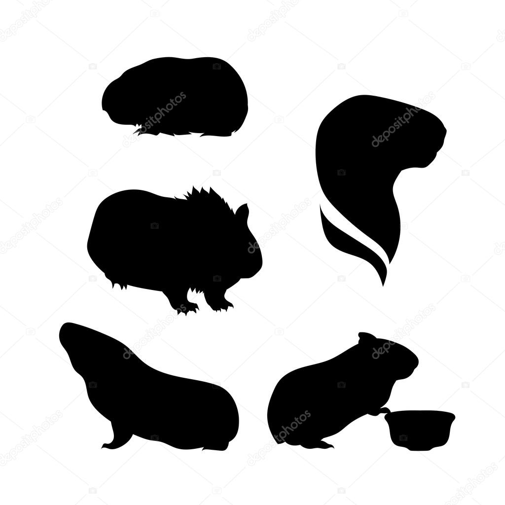 Vector silhouettes of a guinea pig.