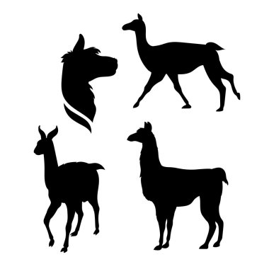 Vector silhouettes bir lama.