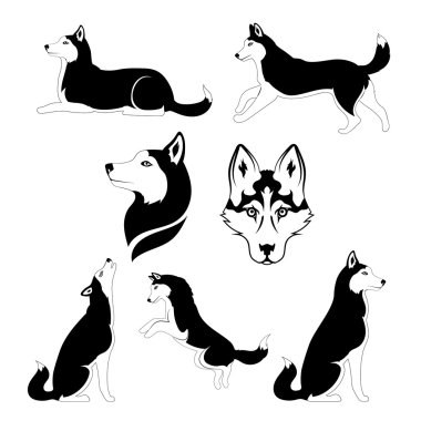 Bir köpek doğurmak siberian dış yapraklar grafik siluet.