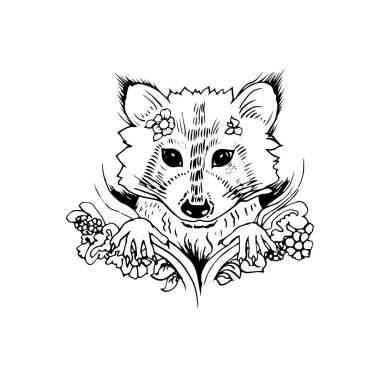 Download Abstract Graphic Raccoon Free Vector Eps Cdr Ai Svg Vector Illustration Graphic Art