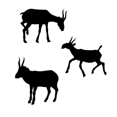 Saiga vector silhouettes.