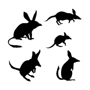 Bandicoot vector silhouettes.