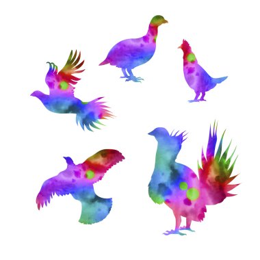 Bir kuş Orman Tavuğu Vector silhouettes.