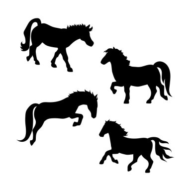 Midilli vector silhouettes.