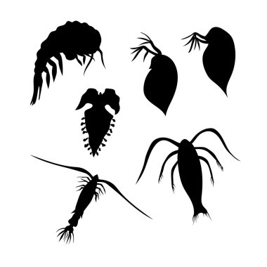 Plankton vector silhouettes. clipart