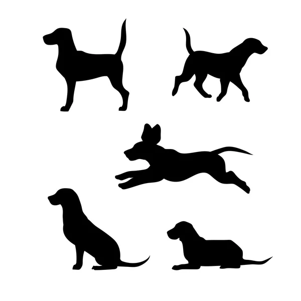 Breed of a dog beagle vector silhouettes. — Stock Vector