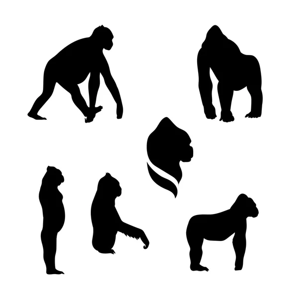 Silhouettes vectorielles de singe gorille . — Image vectorielle