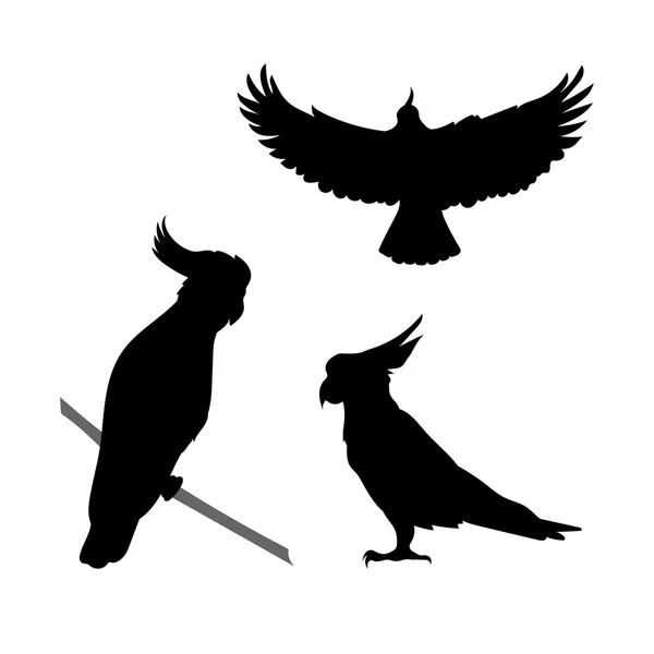 Kaketoe vogel vector silhouetten. — Stockvector