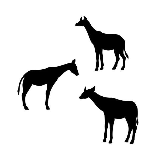 Siluetas vectoriales Okapi . — Vector de stock