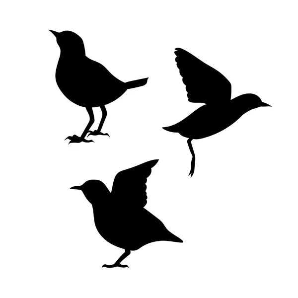 Dipper vector silhouetten. — Stockvector