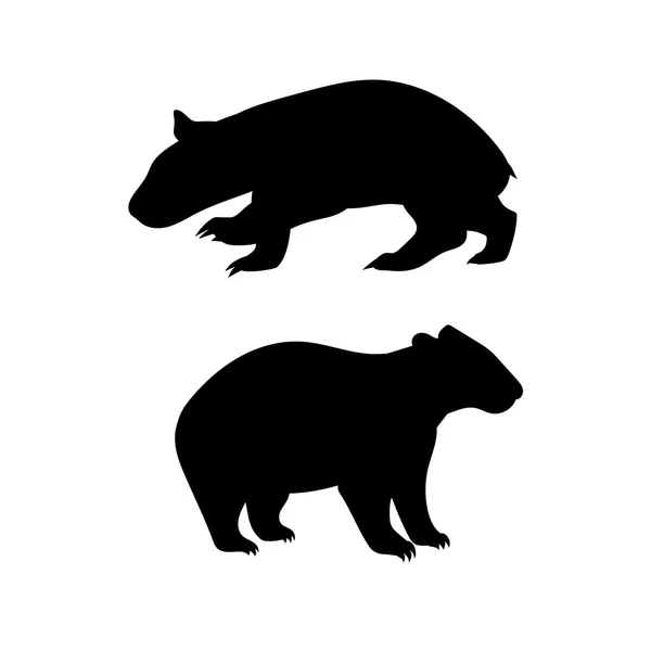 Silhouettes vectorielles Wombat . — Image vectorielle