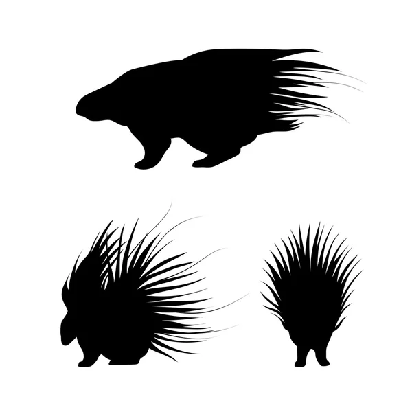 Porcupine vector silhouettes. — Stock Vector