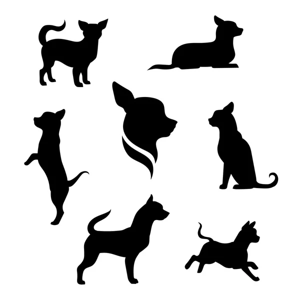 Chihuahua dog vector silhouettes. — Stock Vector