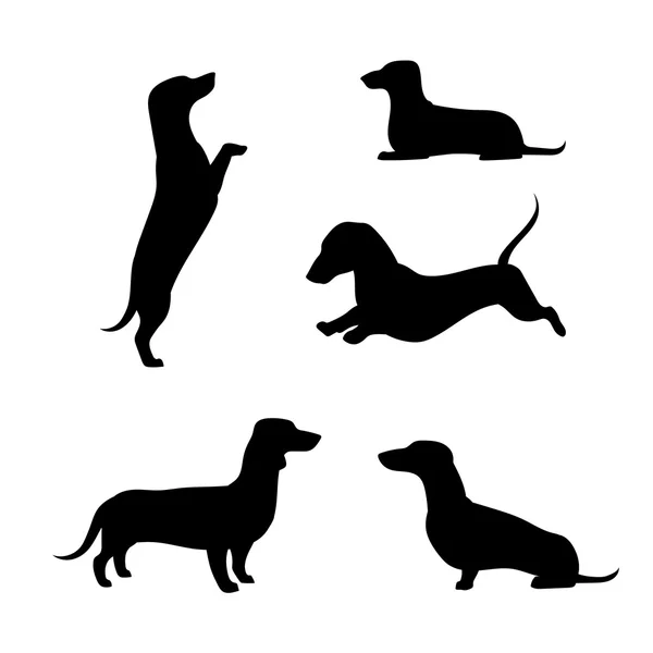 Dachshund vector silhouettes. — Stok Vektör