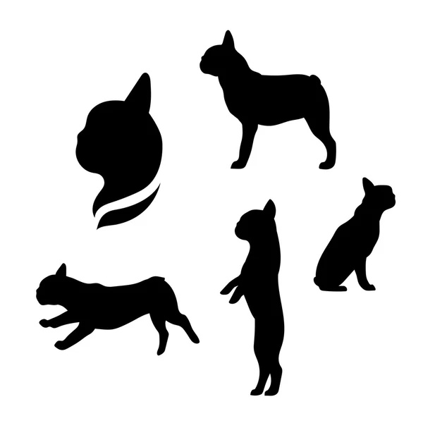 French bulldog vector silhouettes. — Stock Vector