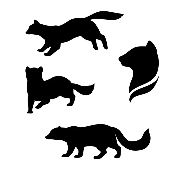 Sable animal vector silhouettes . — Stock Vector