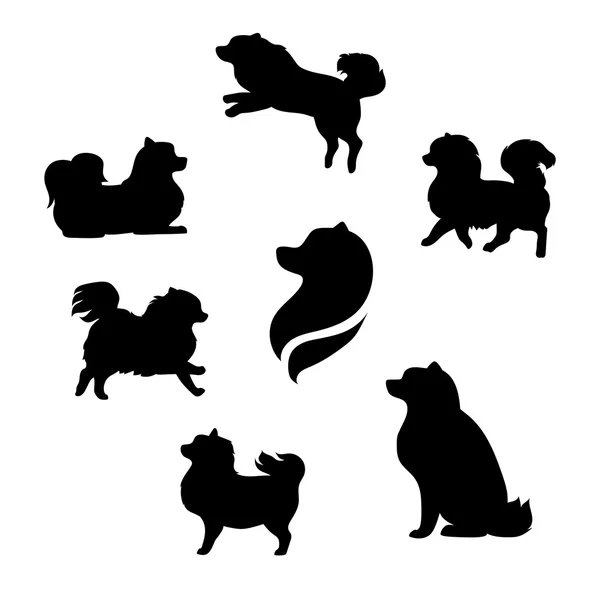 Ddwarf spitz vector silhouettes. — Stock Vector