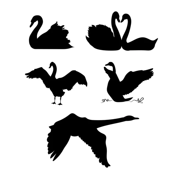 Swan vector silhouetten. — Stockvector