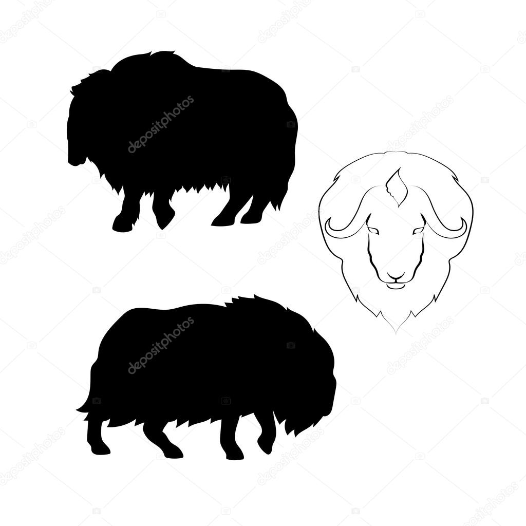 Musk-ox vector silhouettes.