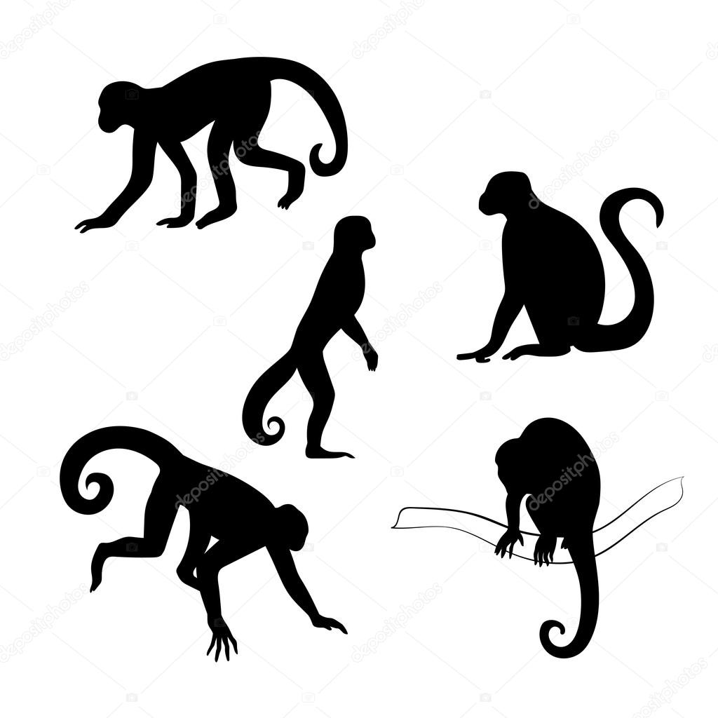 Design PNG E SVG De Ilustração Da Linha Do Macaco-prego Para Camisetas