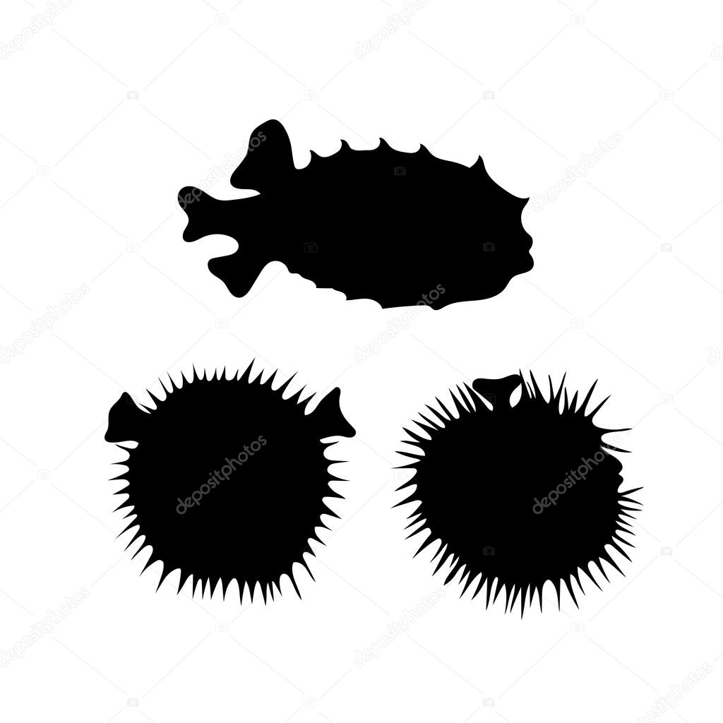 Fish hedgehog vector icons and silhouettes. Set of illustrations in different poses