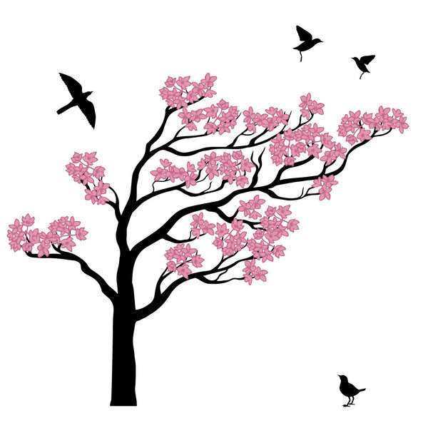 Silhoutte of sakura tree with birds