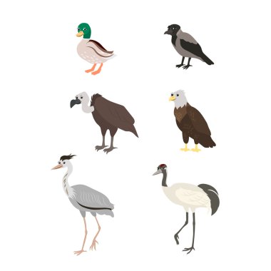 Cartoon set: duck crow buzzard eagle crane heron.