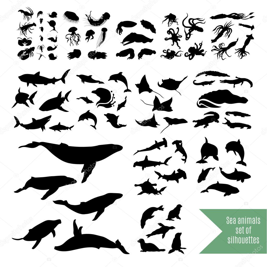 The big set of sea animals vector icons and silhouettes. Illustrations in different poses.