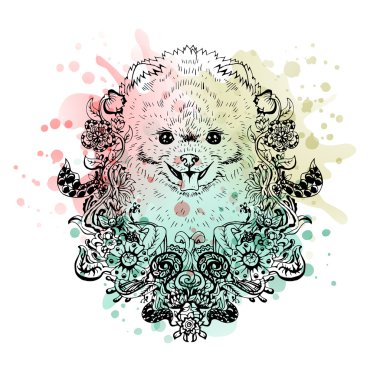 Spitz grafik köpek, soyut vektör çizim