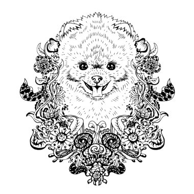 Spitz grafik köpek, soyut vektör çizim