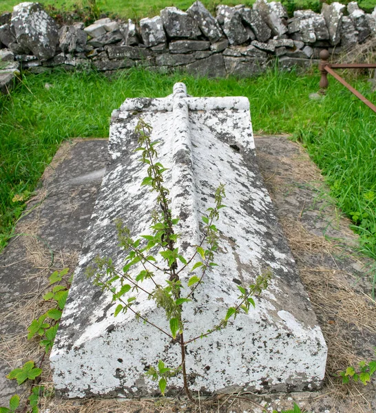 Historisk Kyrkogård Limerick Irland Plats För Dyrkan Antika — Stockfoto