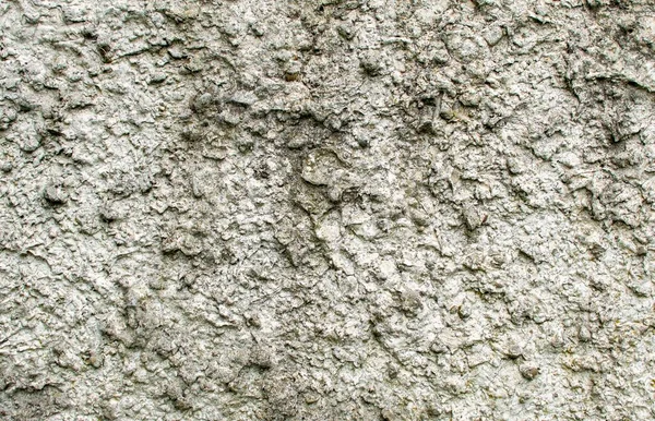 Gray natural wall appetizing, cement spray in gray color, natural color