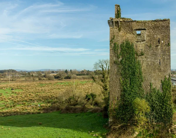 Rlanda Tarihi Savunma Kulesi Limerick Bölgesi Tarihi Nokta — Stok fotoğraf